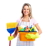 rightcarpetclean