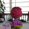 rosetic09