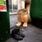 rostandfdsphoto