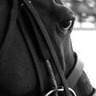 saddlery info