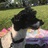 sade_taylor