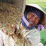 Salute Vietnam Travel