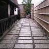 Terumi Sameshima