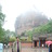 sazhihong