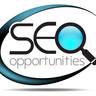 seo_opportunity