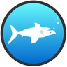 Shark Flip