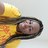 sheliafoy