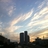 shlomitryber