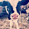 smilee012