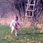 stine1