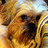 sueweaver108