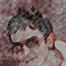 talkas Dani