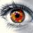 tarek_wisdom
