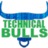 technical_bulls