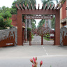 The Mann School