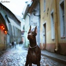 toshia_brodbeck