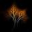 treeonfire