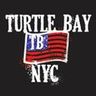 turtle baynyc