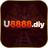 u8888 diy