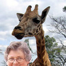 Donna Vann
