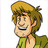 Shaggy ionel