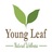 Young Leaf Wellness