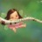 yujinlee